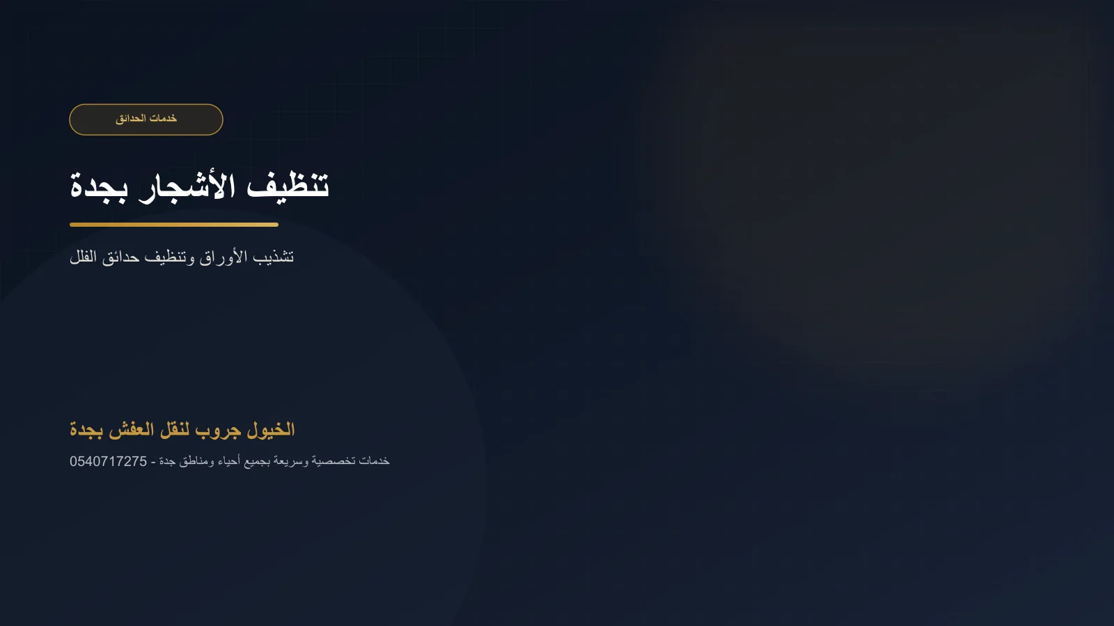 عامل يشذب فروع شجرة حديقة بجدة بالمقلم اليدوي