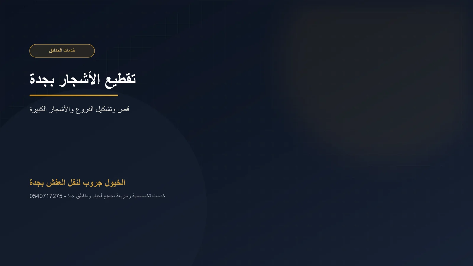فريق يقص فروع شجرة كبيرة بحرص وأحزمة تثبيت بجدة