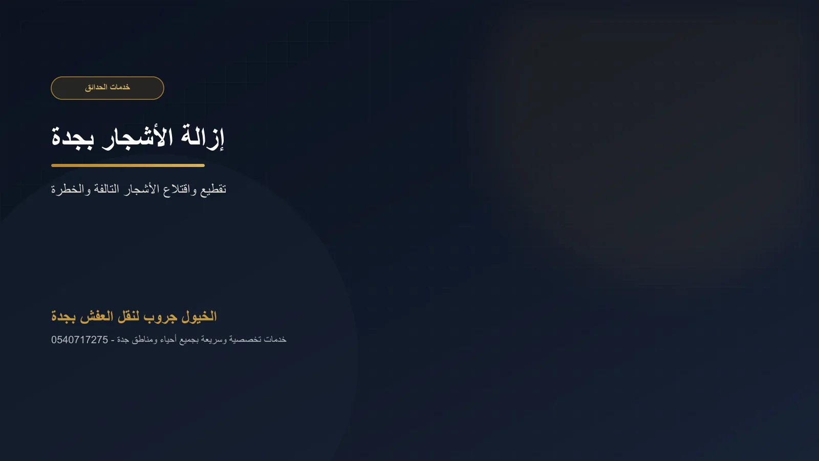 عملية إزالة شجرة يابسة كليًا على مراحل داخل حديقة بجدة